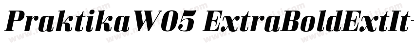 PraktikaW05 ExtraBoldExtIt字体转换